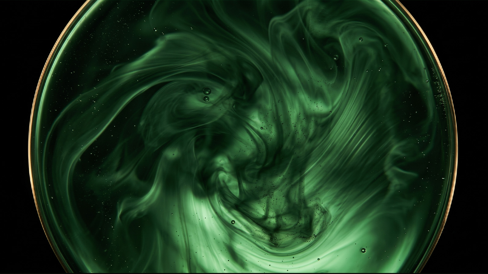 Immun immersion concept